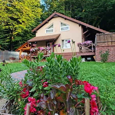 Zelena Saduba Nevitskoye (Transcarpathia)