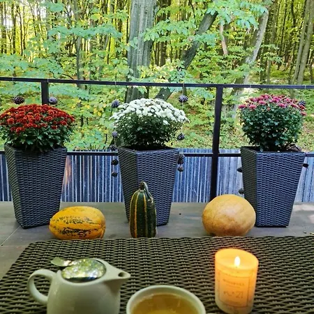 בית נופש Zelena Saduba Nevitskoye (Transcarpathia)