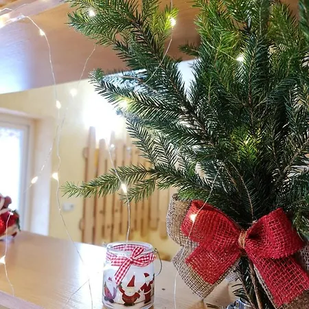 Zelena Saduba בית נופש Nevitskoye (Transcarpathia)