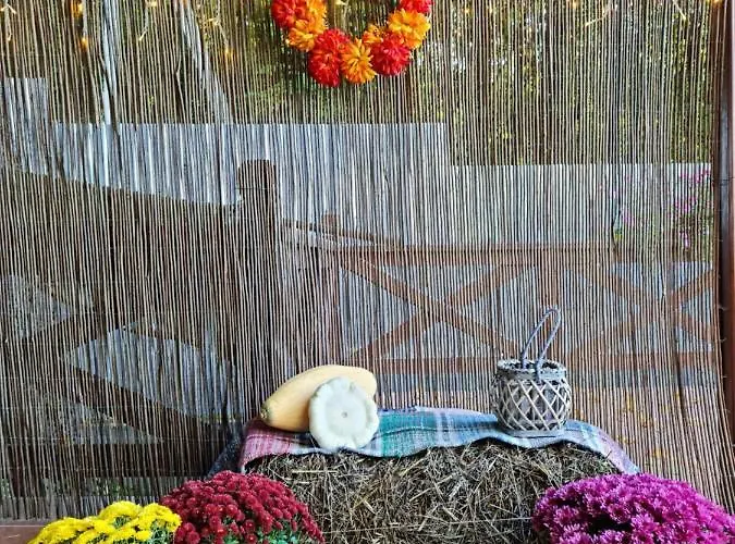 Zelena Saduba Nevitskoye (Transcarpathia)