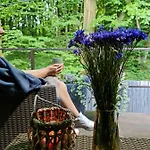 Tatil Evi Zelena Saduba Nevitskoye (Transcarpathia)