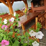 Zelena Saduba Tatil Evi Nevitskoye (Transcarpathia)