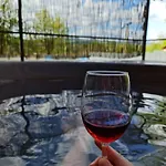 Zelena Saduba Tatil Evi Nevitskoye (Transcarpathia)