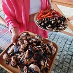 Zelena Saduba Tatil Evi Nevitskoye (Transcarpathia)