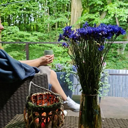 Hébergement de vacances Zelena Saduba Nevitskoye (Transcarpathia)