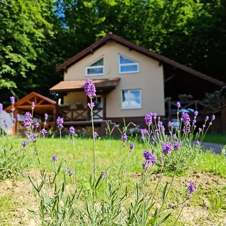 Zelena Saduba Hébergement de vacances *